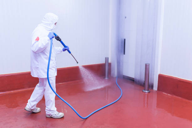 Best Spring Cleaning  in Trenton, FL