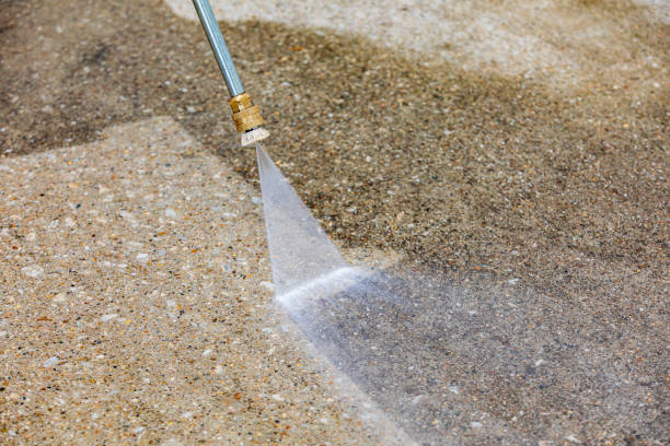 Best Sidewalk and Walkway Cleaning  in Trenton, FL