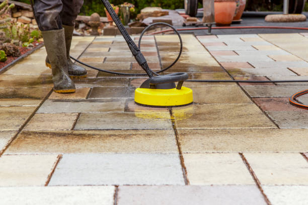 Best Gutter Cleaning  in Trenton, FL